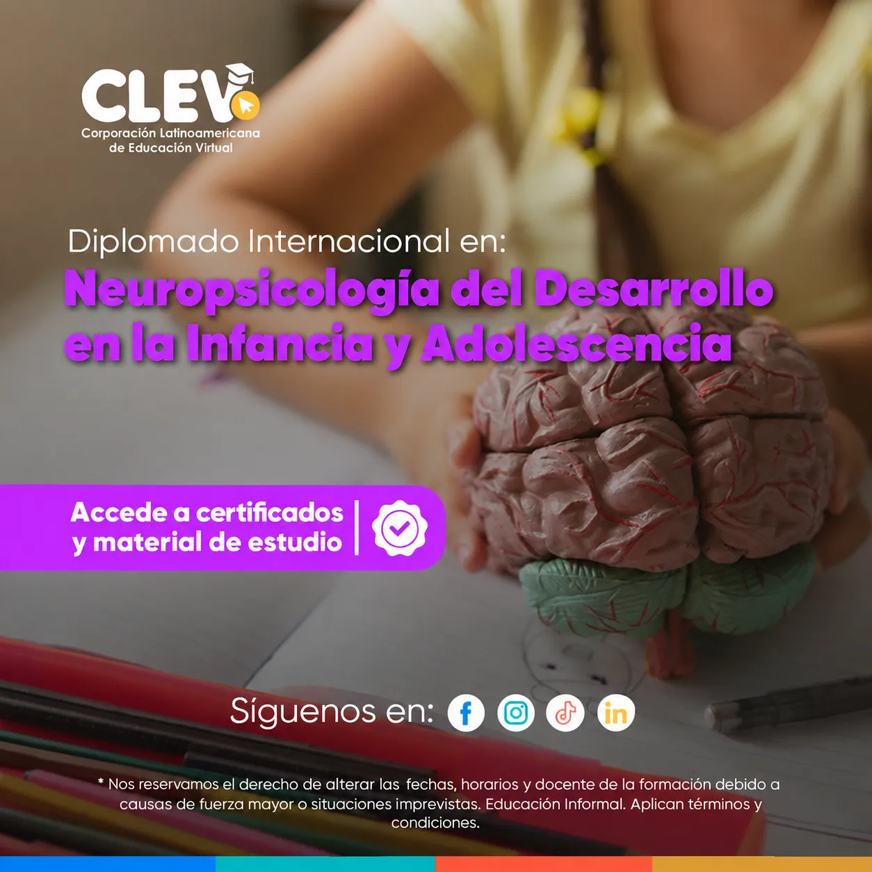 Diplomado en Neuropsicología del desarrollo en la infancia y adolescencia