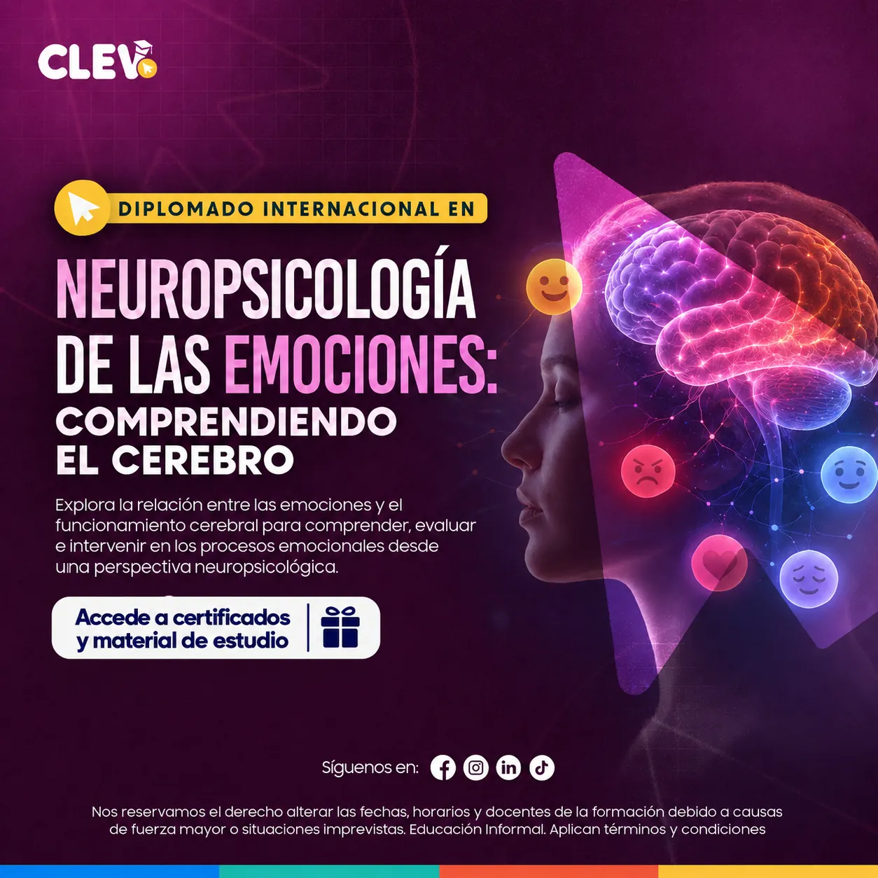 Diplomado en Neuropsicología de las Emociones: Comprendiendo el Cerebro