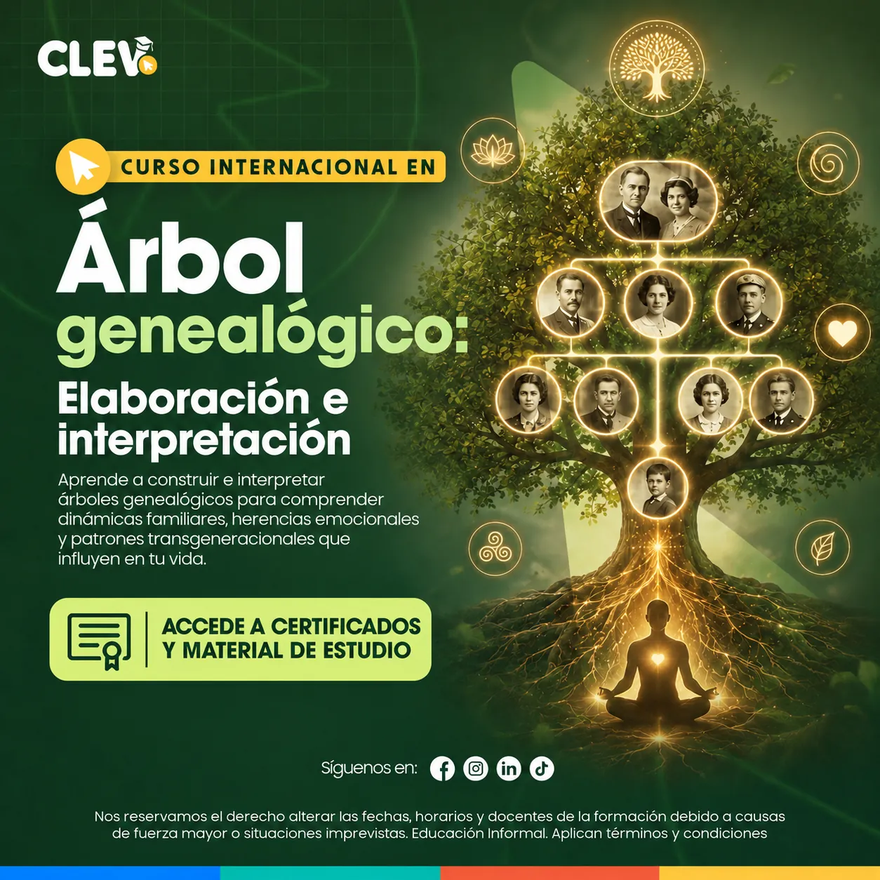 Curso en Árbol Genealógico: Elaboración e Interpretación