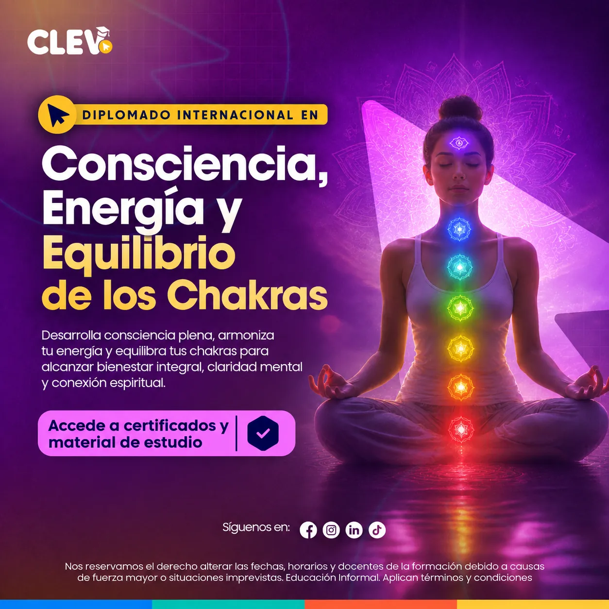 Diplomado en Consciencia, Energía y Equilibrio de los Chakras